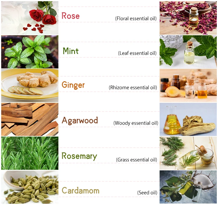 5L 10L  100L  essential oil steam distillation Rose Musk Essential Oil Extraction Machine drying machine