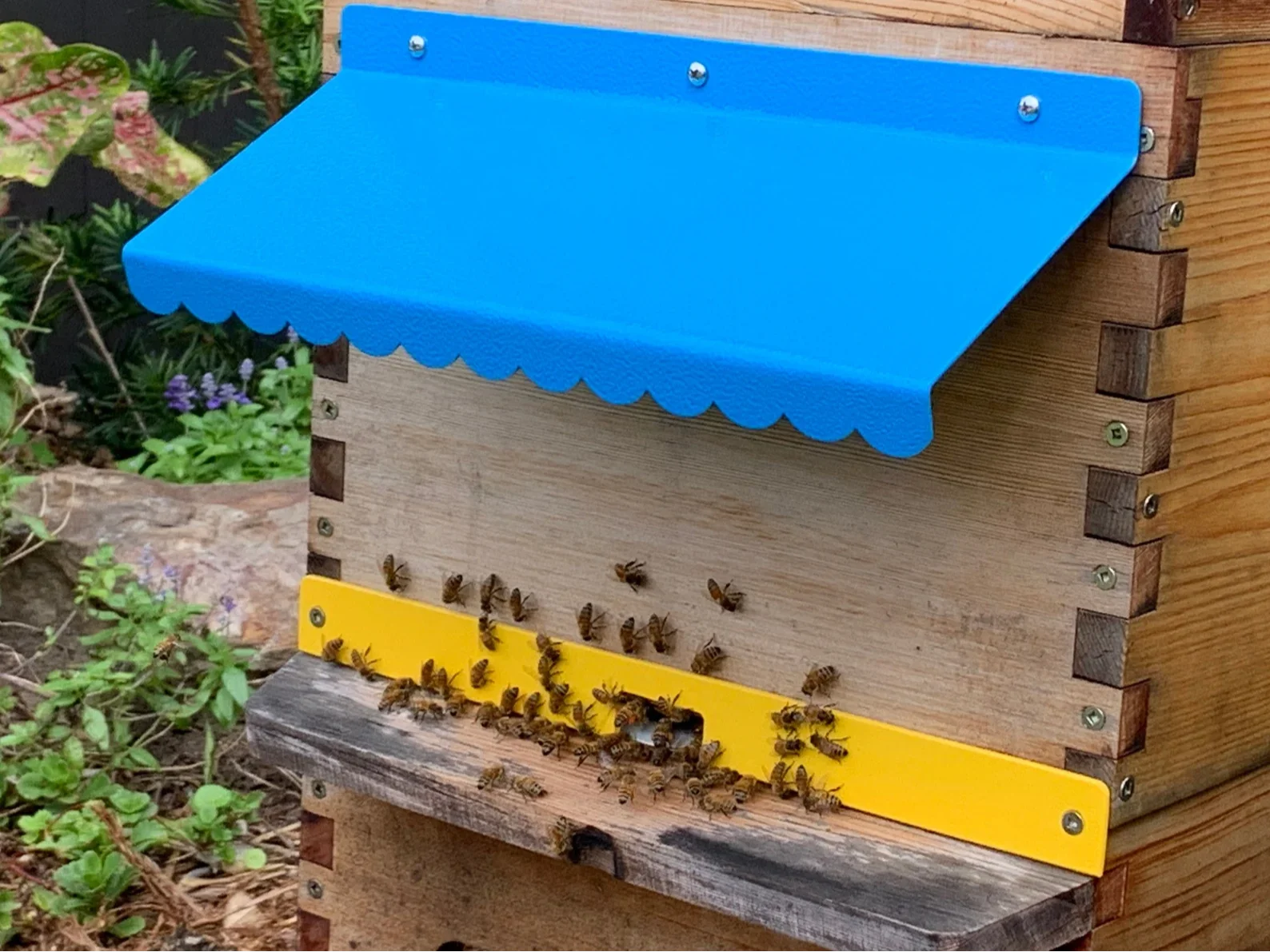 Beehive Rain and Snow Visor  Awning for Beehive Snow and Rain Protection for Beehives