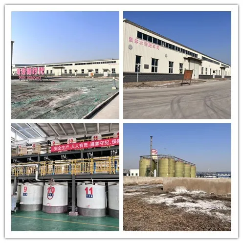 Factory supply 99% 1H-INDAZOLE-3-CARBOXYLIC ACID METHYL ESTER CAS 43120-28-1