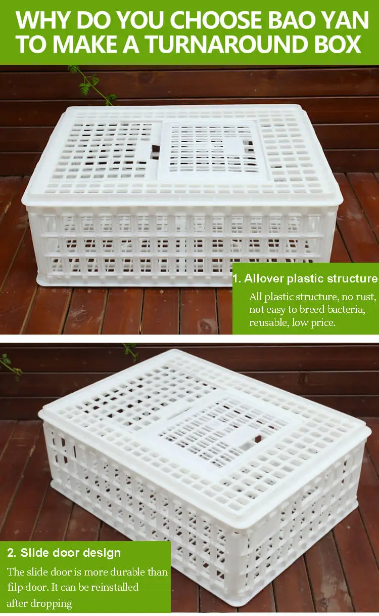 chicken transport (2)