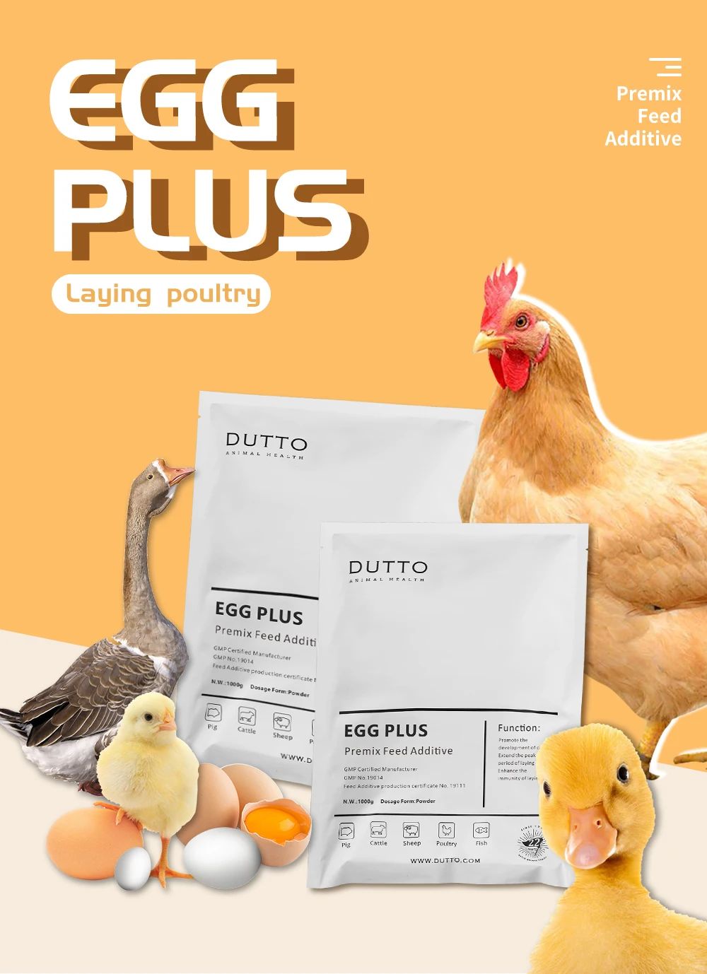 DUTTO layer feed More eggs premix concentrate poultry feed feeds direct manufactures