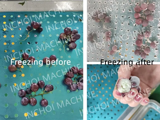 Professional Industrial iqf freezing equipment air blast freezer Individual Quick Freezing Fast Liquid Nitrogen Equipment