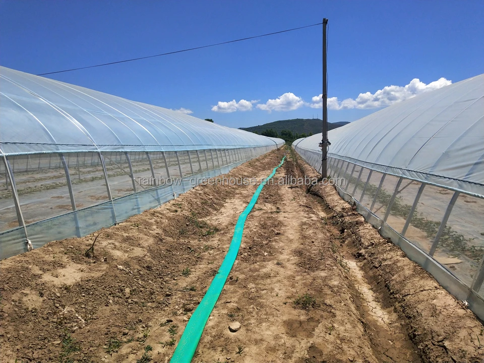 gothic arch greenhouse.jpg