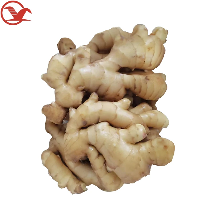 High Quality 2022 New Crop Fresh Chinese Ginger For Sale