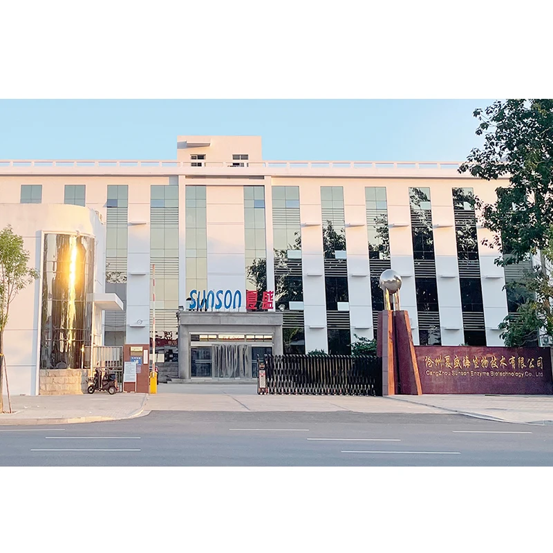 Industrial Lipase Enzyme Lipase Detergent Laundry Enzymes Industrial Stain Remover