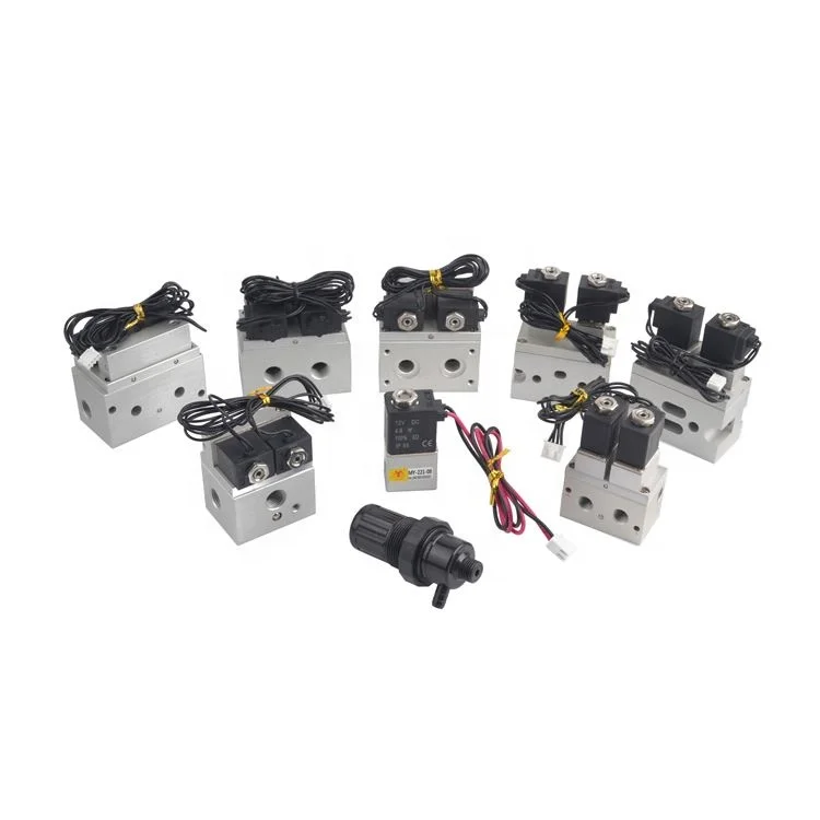 OEM ODM Oxygen Generator Regulator Valve 5L 10L DC 12V 24V Oxygen Generator Regulator Valve
