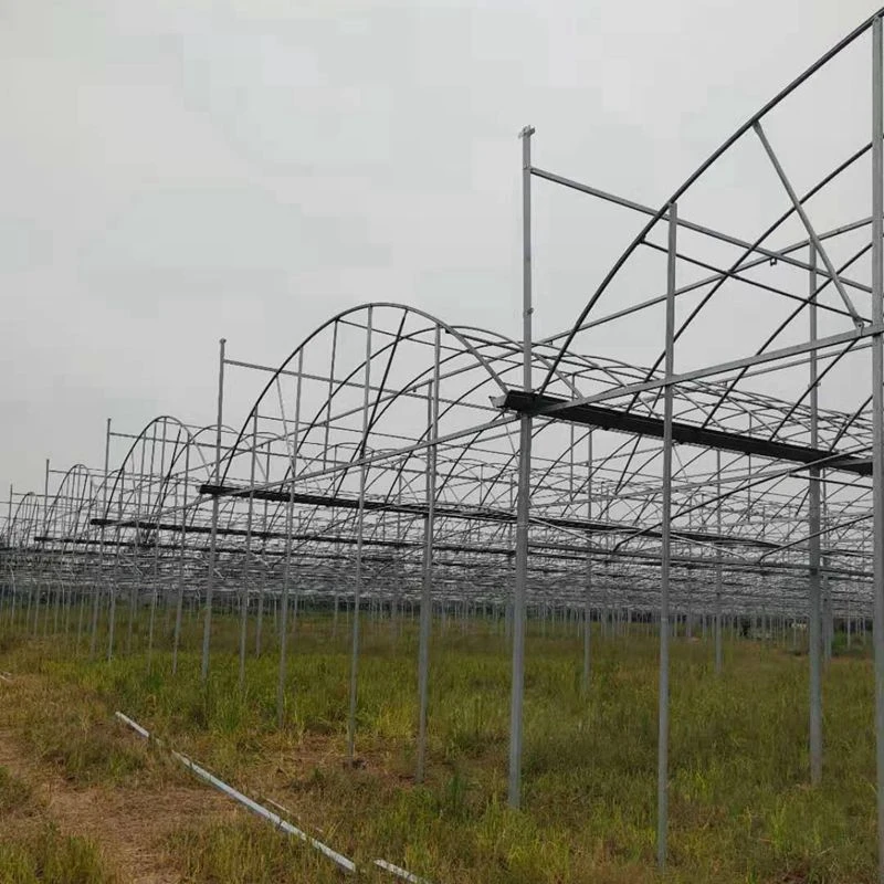 Лидер продаж, Высококачественная сельскохозяйственная теплица для борьбы с вредителями, пластиковая портативная теплица для сельского хозяйства