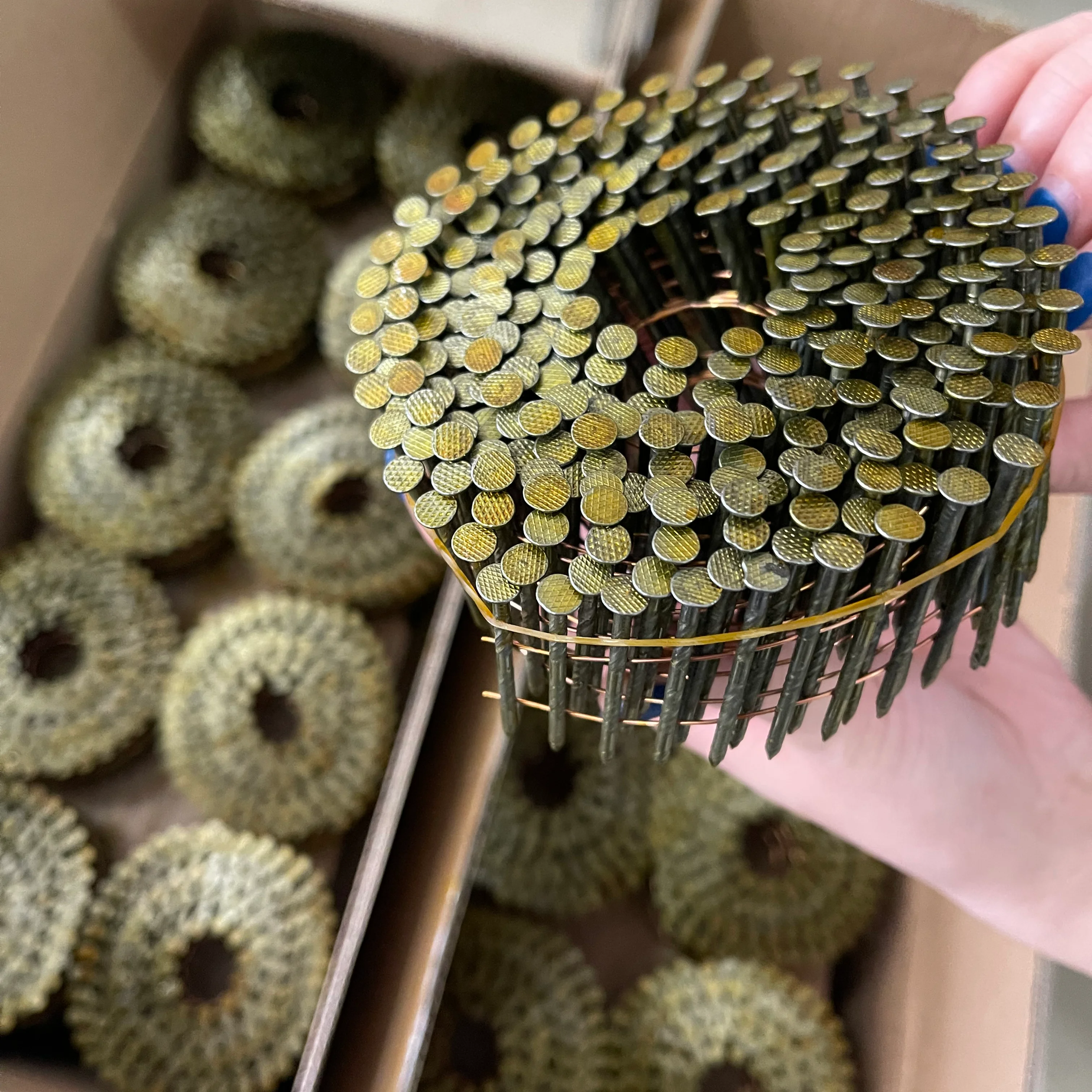 304 stainless steel galvanized screw spiral shank coil nails pallets coil nails Clavos Helicoidal