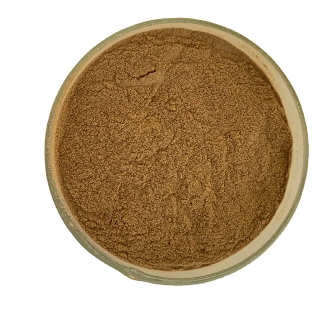 
Supply Food Grade Ganoderma Lucidum Extract Powder For Improve Immunity 