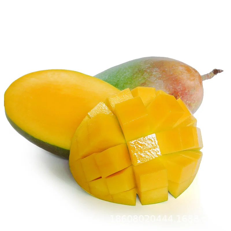 
Hot Selling 20cm A Level Oval Vietnam Sweet Fresh Yellow Mango 