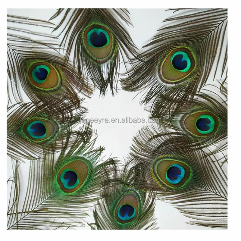 1Bag/50Pcs 25-30cm Length Natural Green Peacock Feather Decoation For