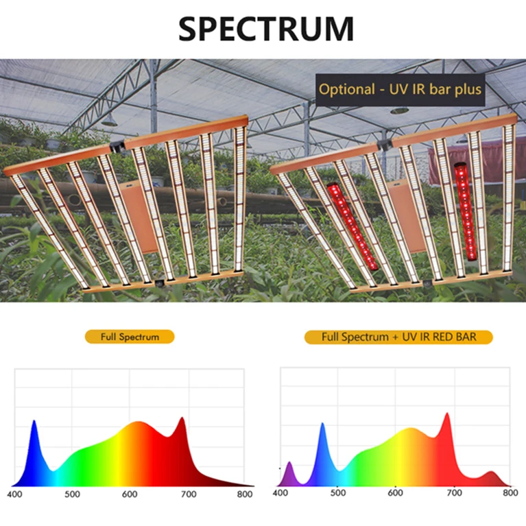 cost HPS Replacement quantum vertical 1200w 1000w 720w 650w 400w 300w 240w samsung led grow light