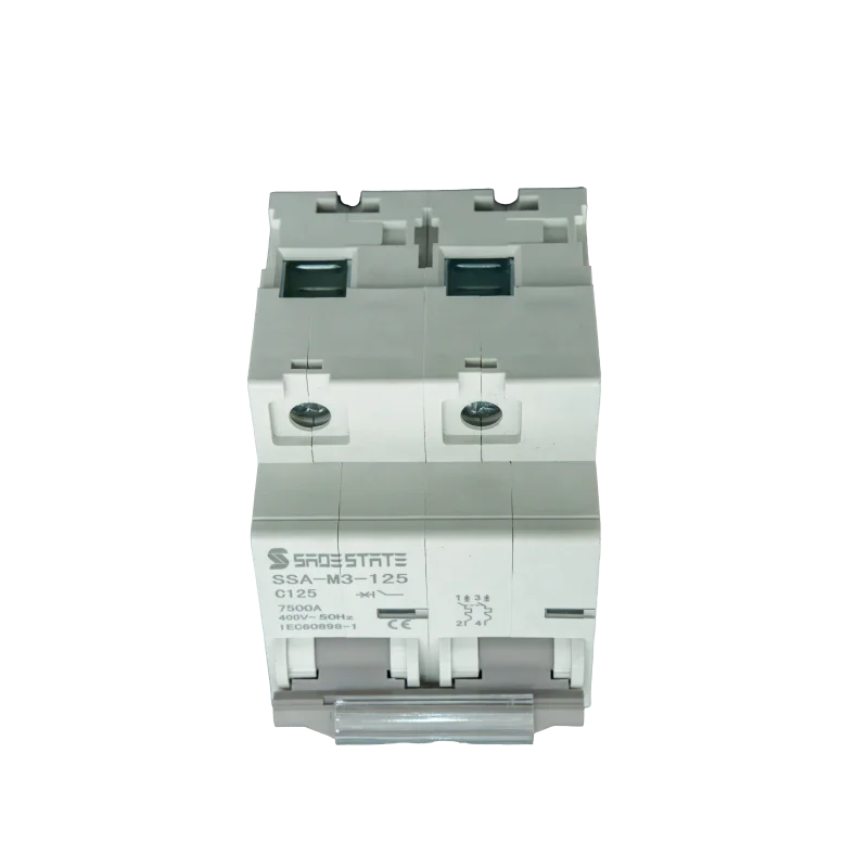 50/60hz Rated Mcb Circuit Breaker Flame Retardant Plastic Molded Case 125A 2P Miniature Circuit Breakers
