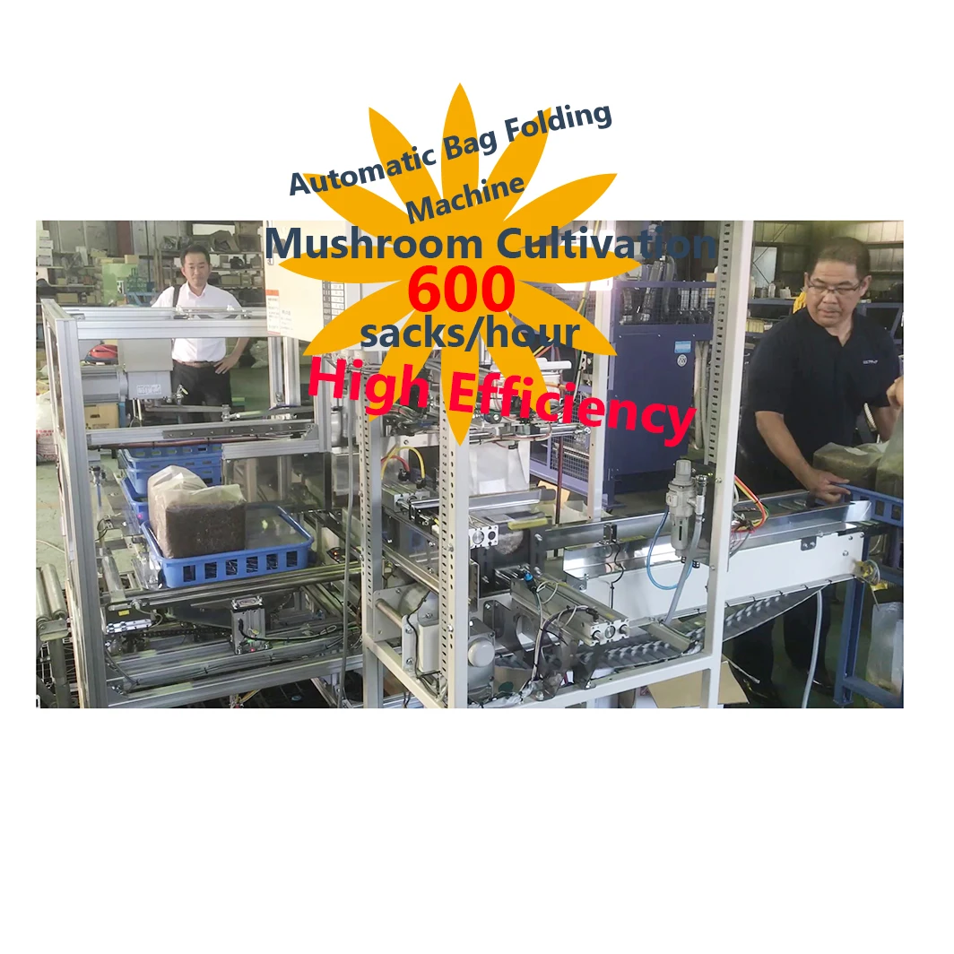 
Pouch automatic banding food packaging machine with online support 