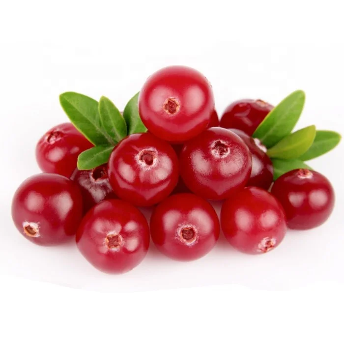 Freeze Dried Cranberry Lyophilization Healthy Organic Fruits