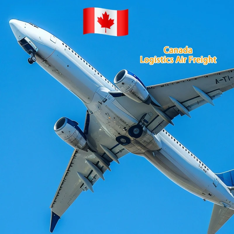 logistics services air express DHL UPS forwarder china to Canada freight forwarder buying agent Logistics air freight