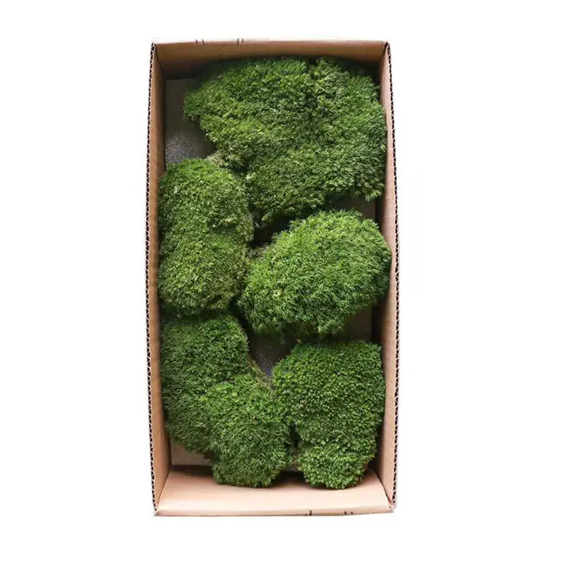 long using time Artificial Moss Preserved Live for landscape indoor and outdoor decorative