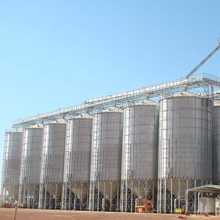 Grain hopper bottom storage silos with belt conveyor/chain conveyor unloading system