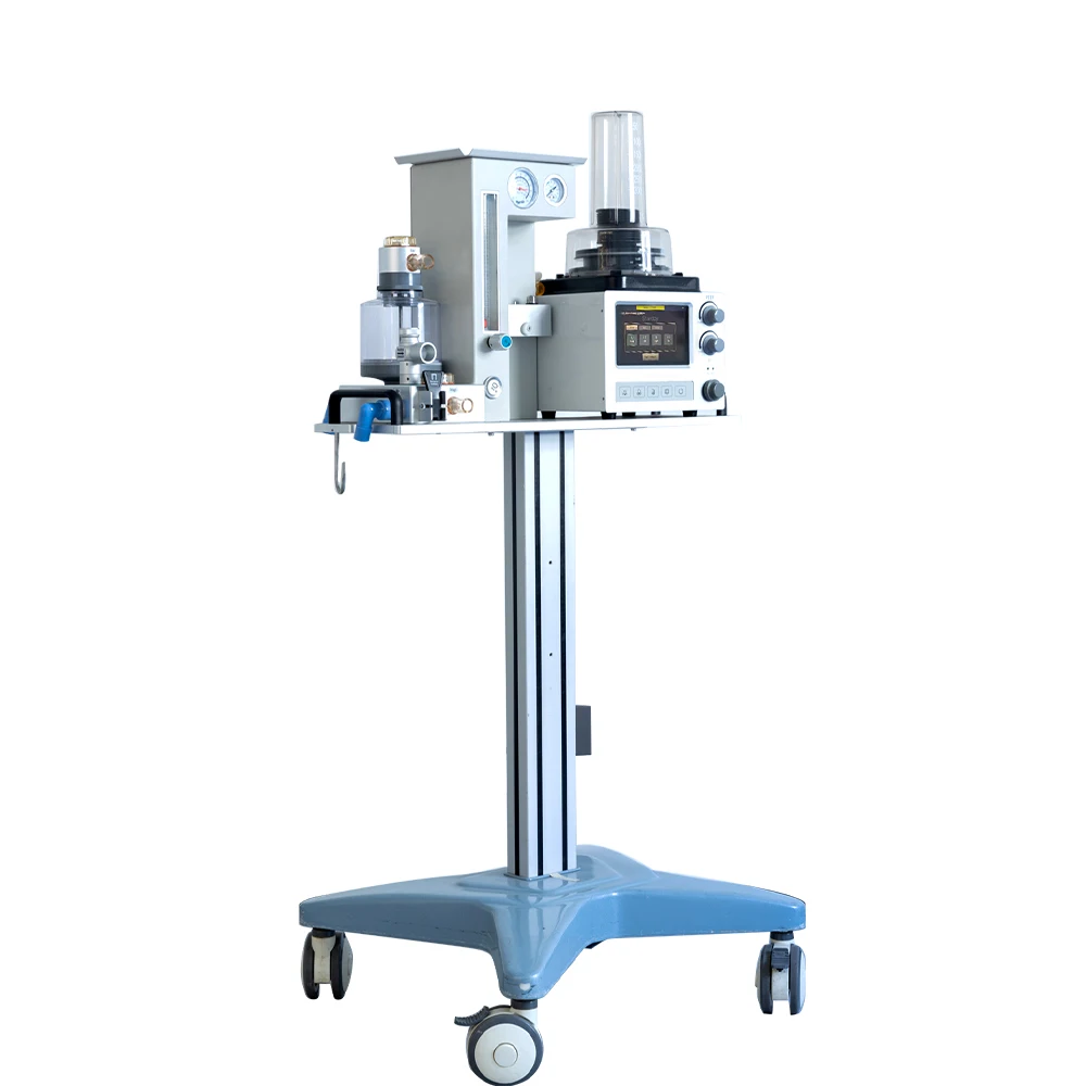 Veterinary Anesthesia System Direct Selling DM6B Emergency Medicina Animal Veterinaria Instrument