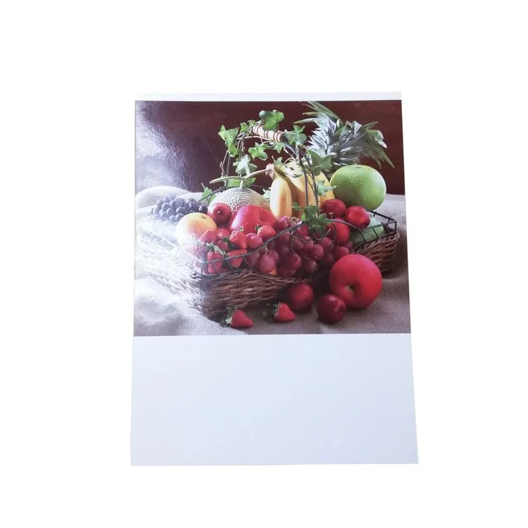 Factory Supply Chemical Pulp Waterproof Offest Printing Duplex Board Paper