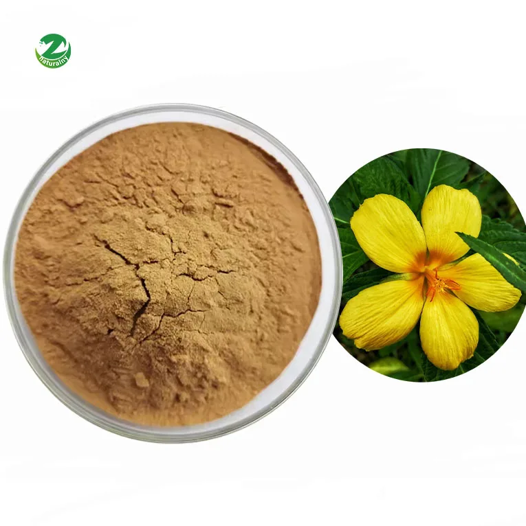 Factory Supply Best Price Pure damiana Leaf Extract Stimulate Male Hormones damiana Extract