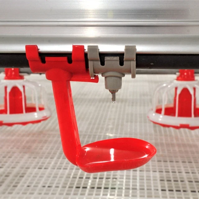 Factory Automatic Poultry Farm Equipment Made For Big Farm