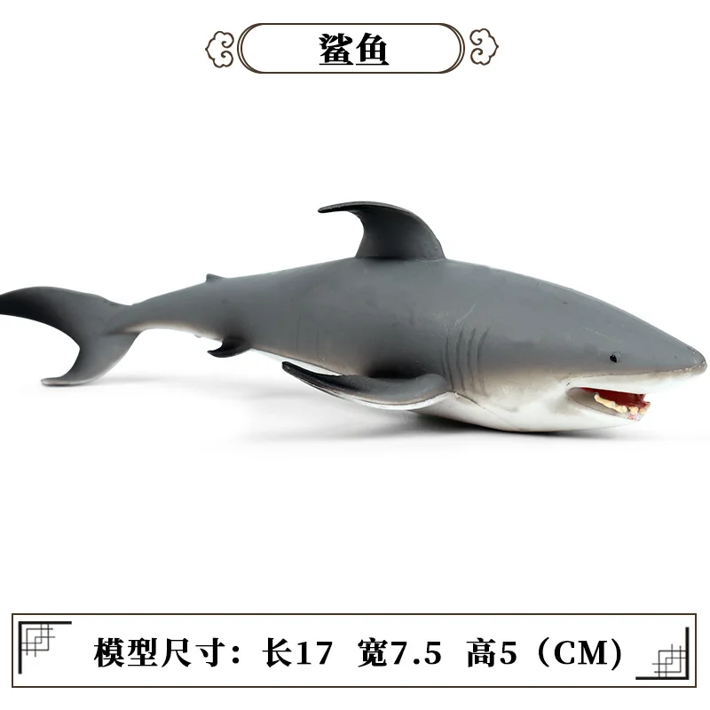 CJJ174 7511.jpg