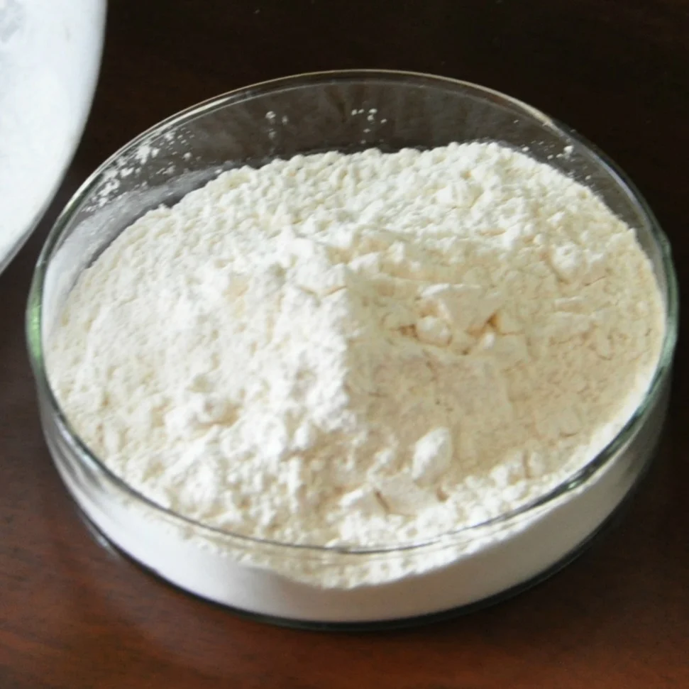 Manufacturer  native Undenatured chicken collagen ii