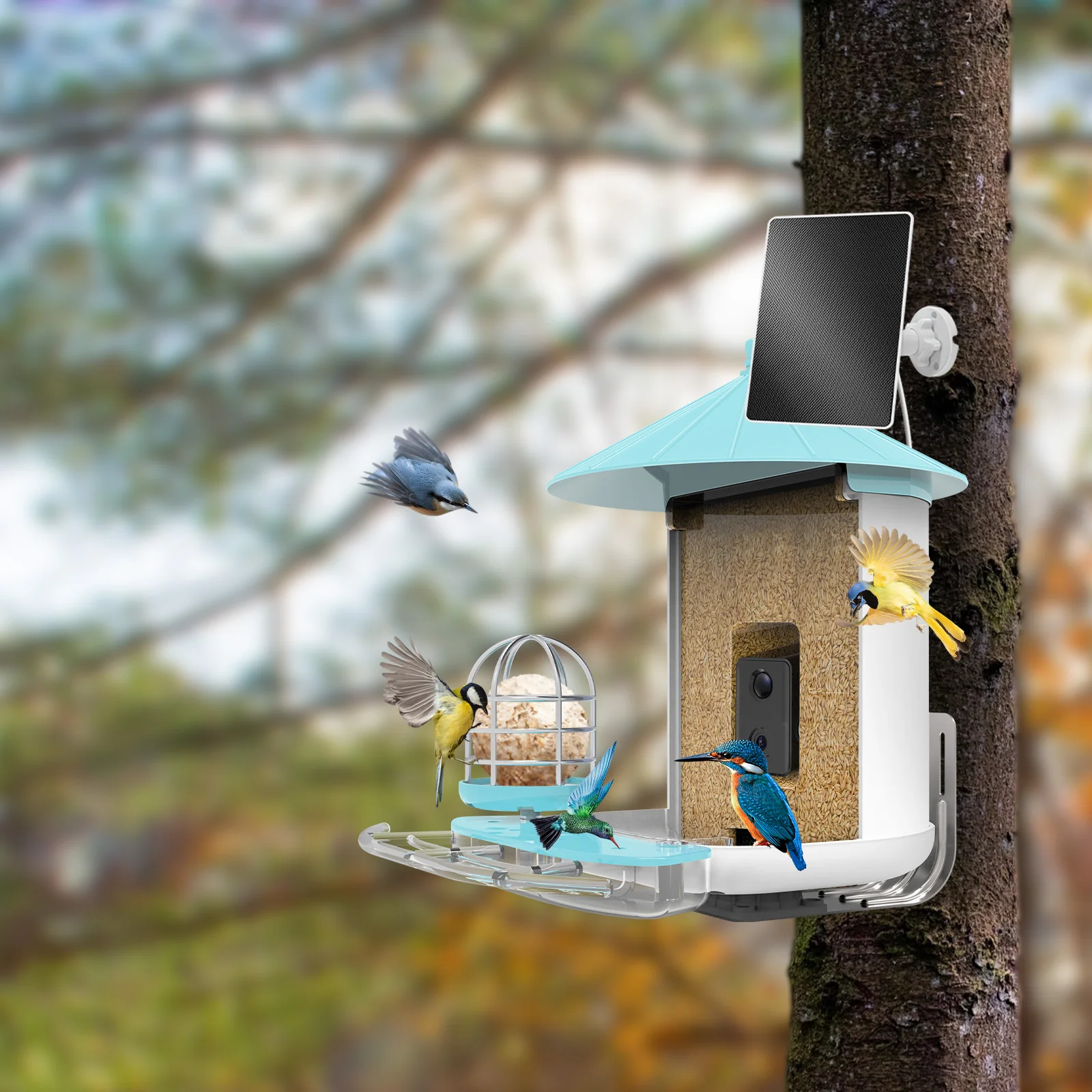 AI Recognize Bird Species Outdoor Wildlife Hummingbird Wifi Camera Capture Pictures Photos Video Smart Bird Feeder for Garden