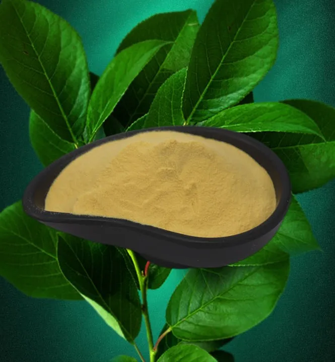 Instant Vegetable Powder Spray Dried Carrot Powder Carrot Fines