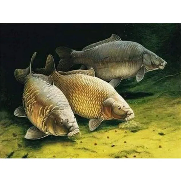 Карп животных три рыбы Сделай Сам алмазная живопись на холсте 5D мозаика со стразами домашний декор заказ Алмазная картина вышивка