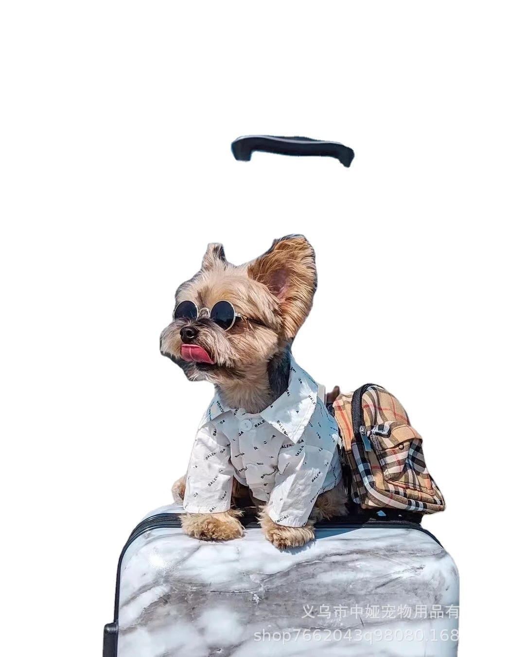 New Luxury designer popular logo letters printed thin cool fat dog pet clothes dog shirt for summer