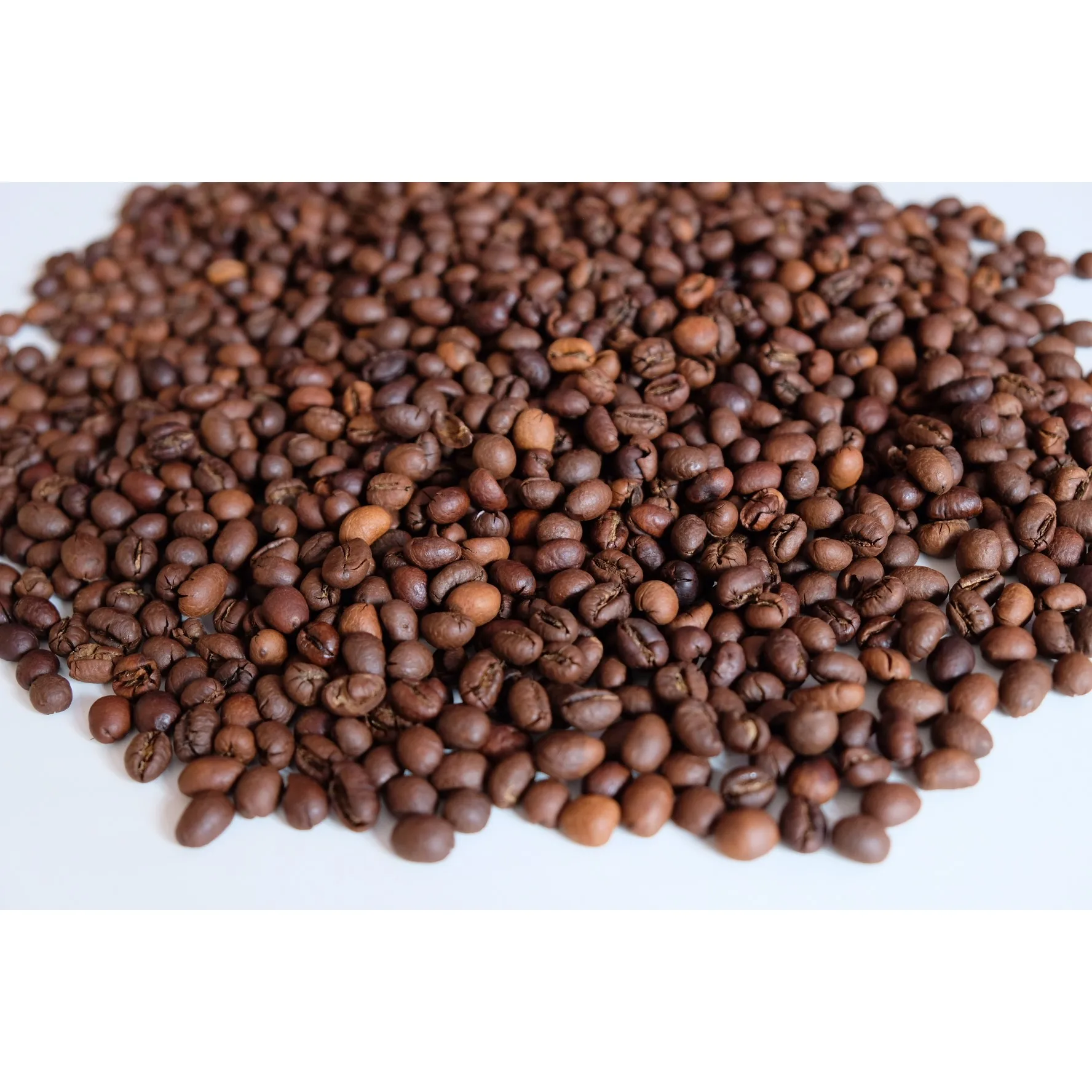 Vietnam Product Robusta S18 Roasted Carpentry Coffee Beans  Roasted Cafe  Robusta Roasted