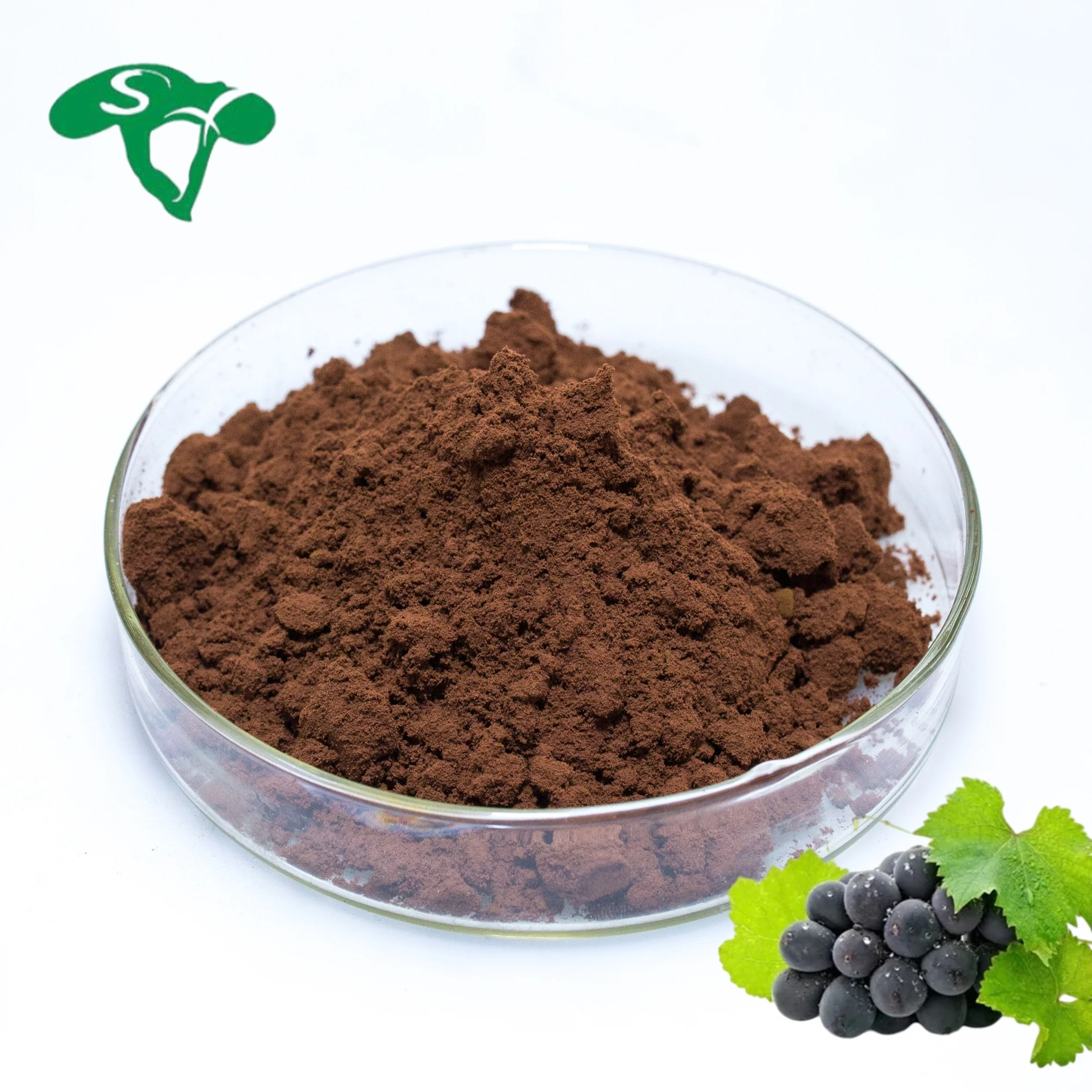 Grape Extract Resveratrol Grape Skin Extract Polyphenol Grape Skin Extract Powder For Wine