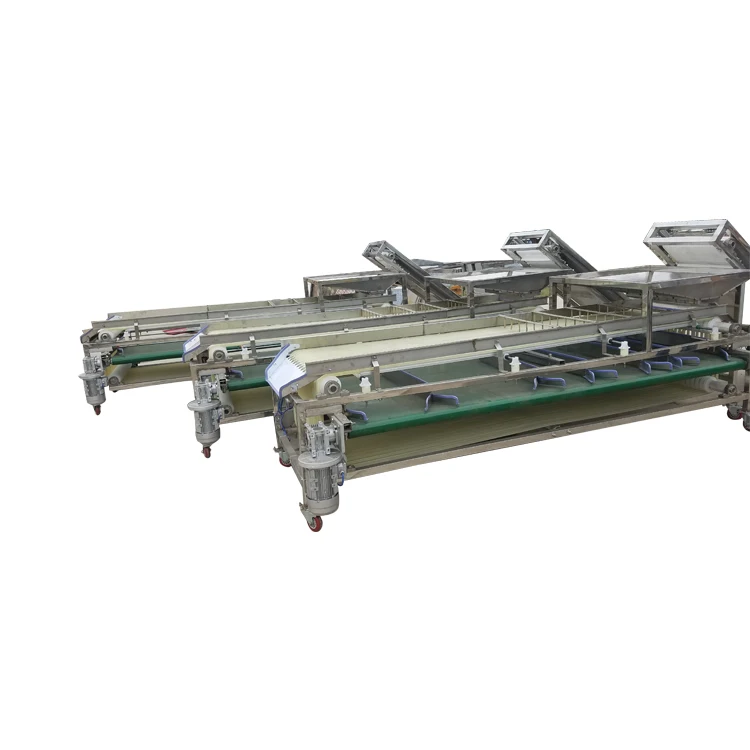 Сортировочная машина для ананасов и клубники