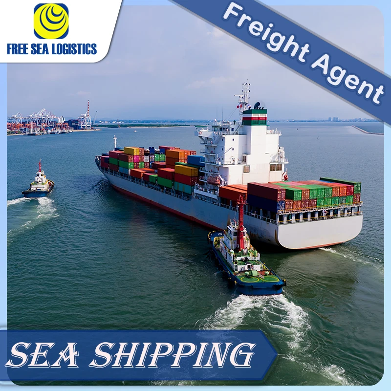 Professional logistics China to Argentina air/sea freight forwarder  door-to-door service DDP