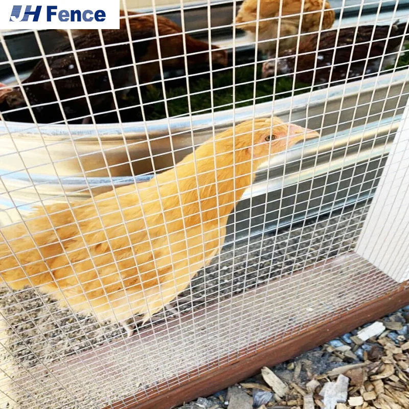 Factory Direct low price galvanized steel welded wire mesh fence in roll used for chicken farm fence