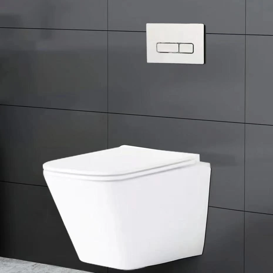 China Adjustable Smart Dual-Flush Wc Toilet Wall Hung  Toilet Cistern With Frame