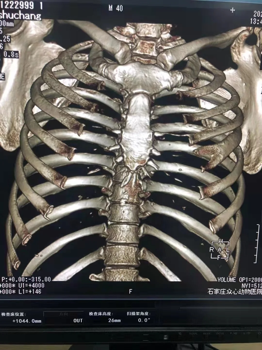 Ветеринарный CT-экран поставка системы CTscreener DR xray визуализация животных ветеринарный CT-сканер ультразвуковое снабжение