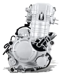 Motorcycle Engines Motorcycle 250CC Three Wheels  Water-cooled Single-Cylinder LF167FMM High Quality for LIFAN