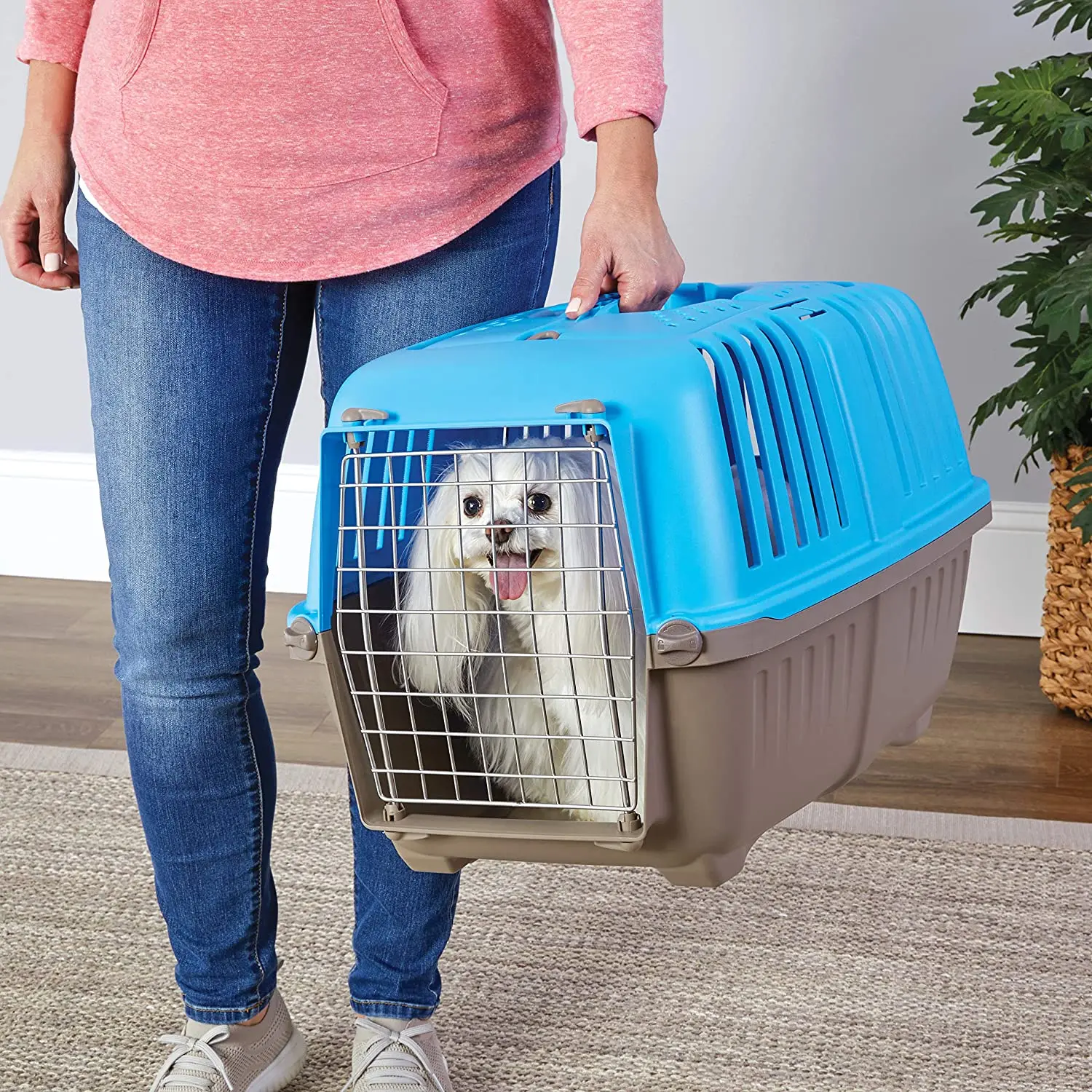 Safe Reliable Pet Carrier for Cats and Dogs Portable Large Breathable Cat Transport Air Box