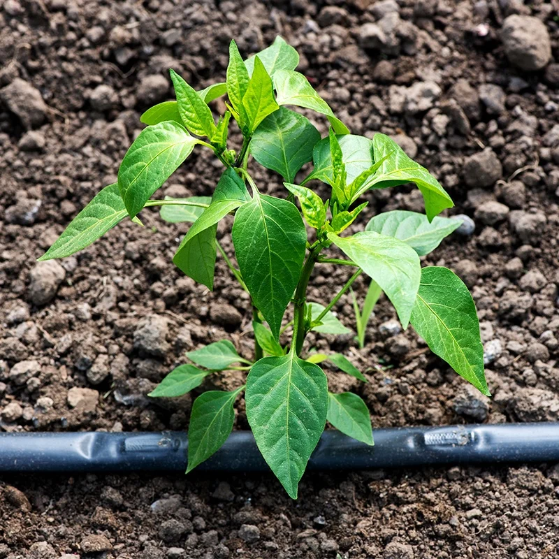 Agricultural irrigation 2 hectare design  drip irrigation system drip irrigation pipe