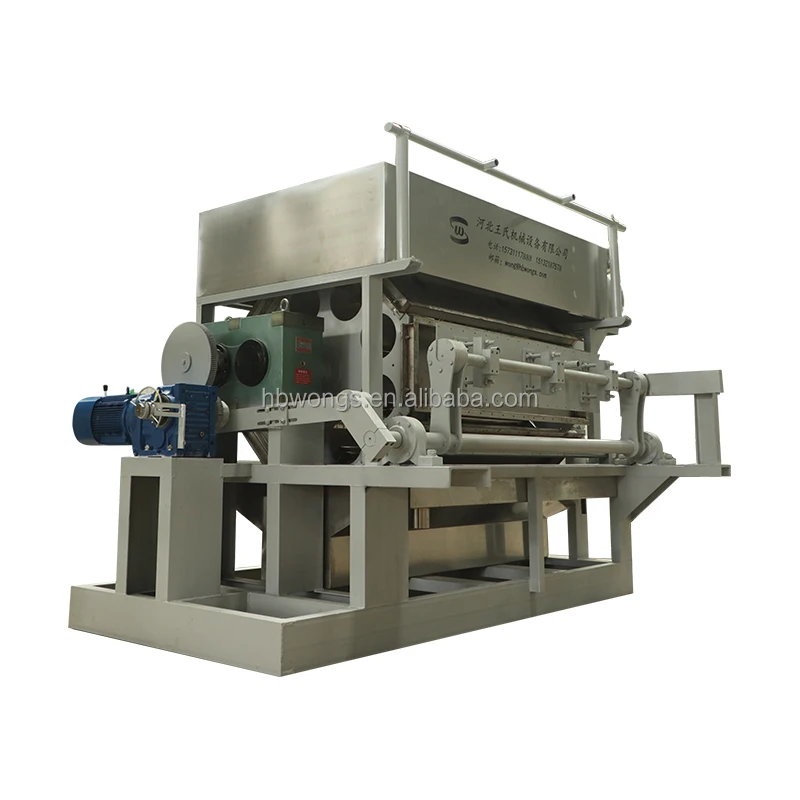 Paper Production Line Making Machine Egg Tray Machine Automatic for Paper Factory