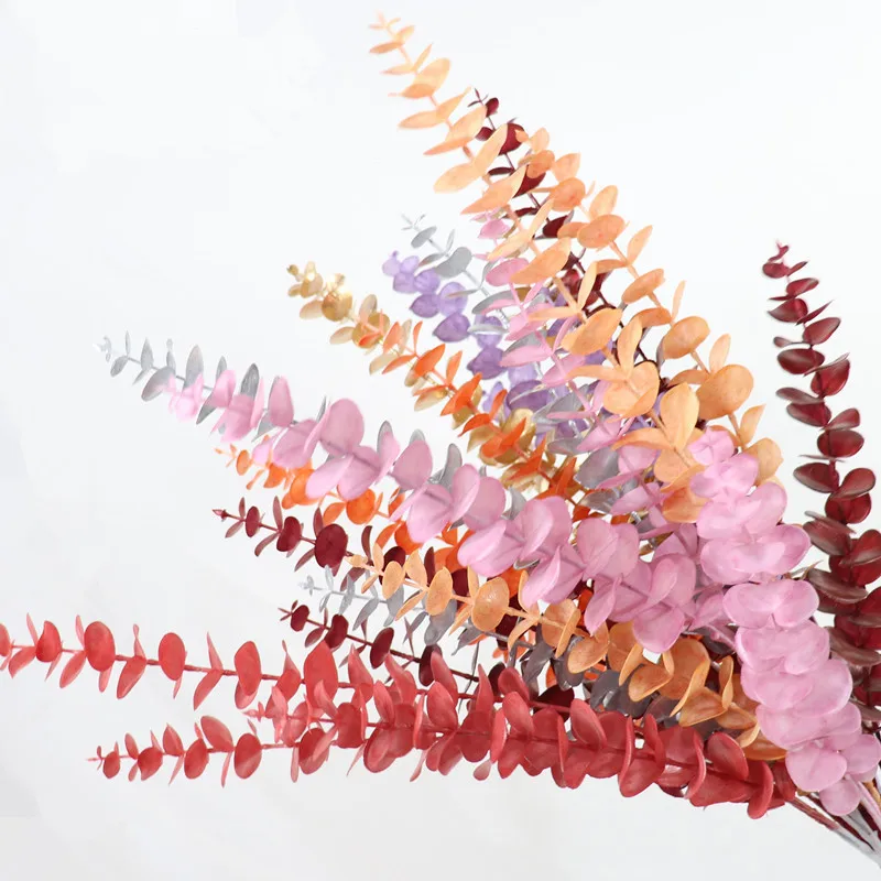 Amazon hot sale home decoration copper coin stabilized plants dried eucalyptus leaves preserved eucalyptus leaf home decor