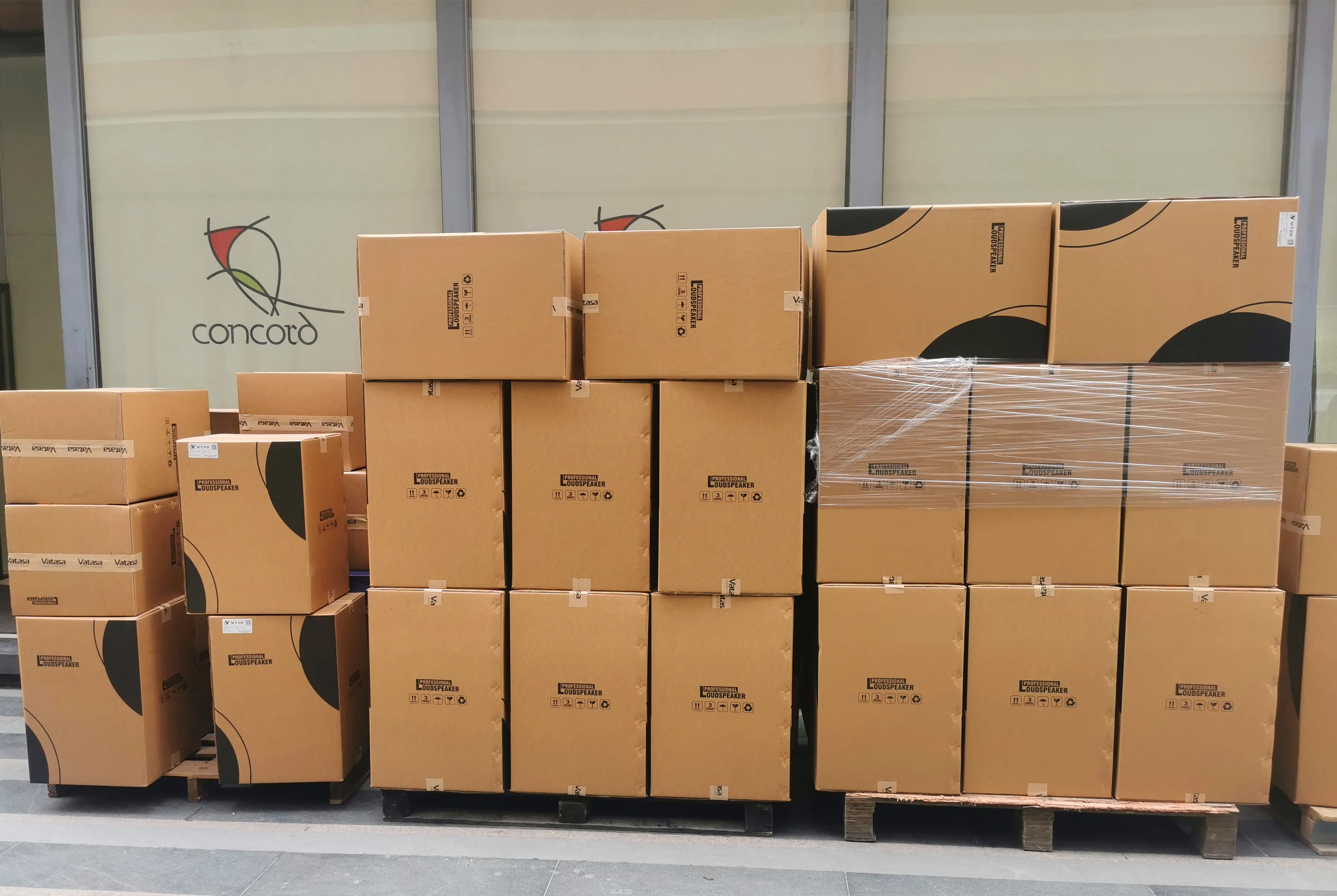  Профессиональный 2 way AES 400W один 10 дюймов на открытом воздухе линейного