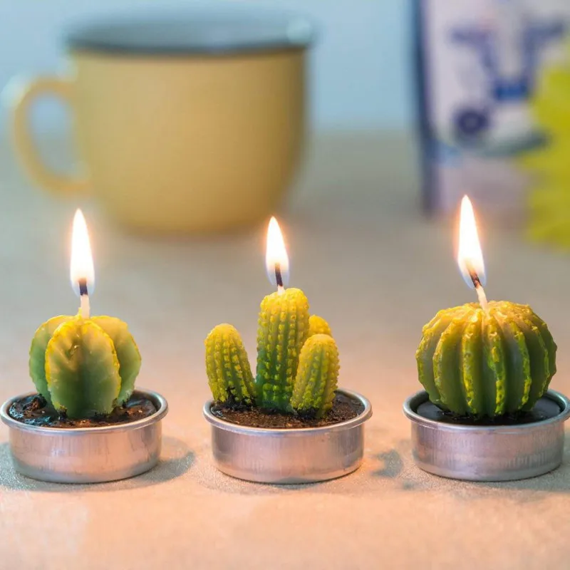 Manufacturers directly ship various styles of combination paraffin simulation potted plant cactus shape fleshy candle