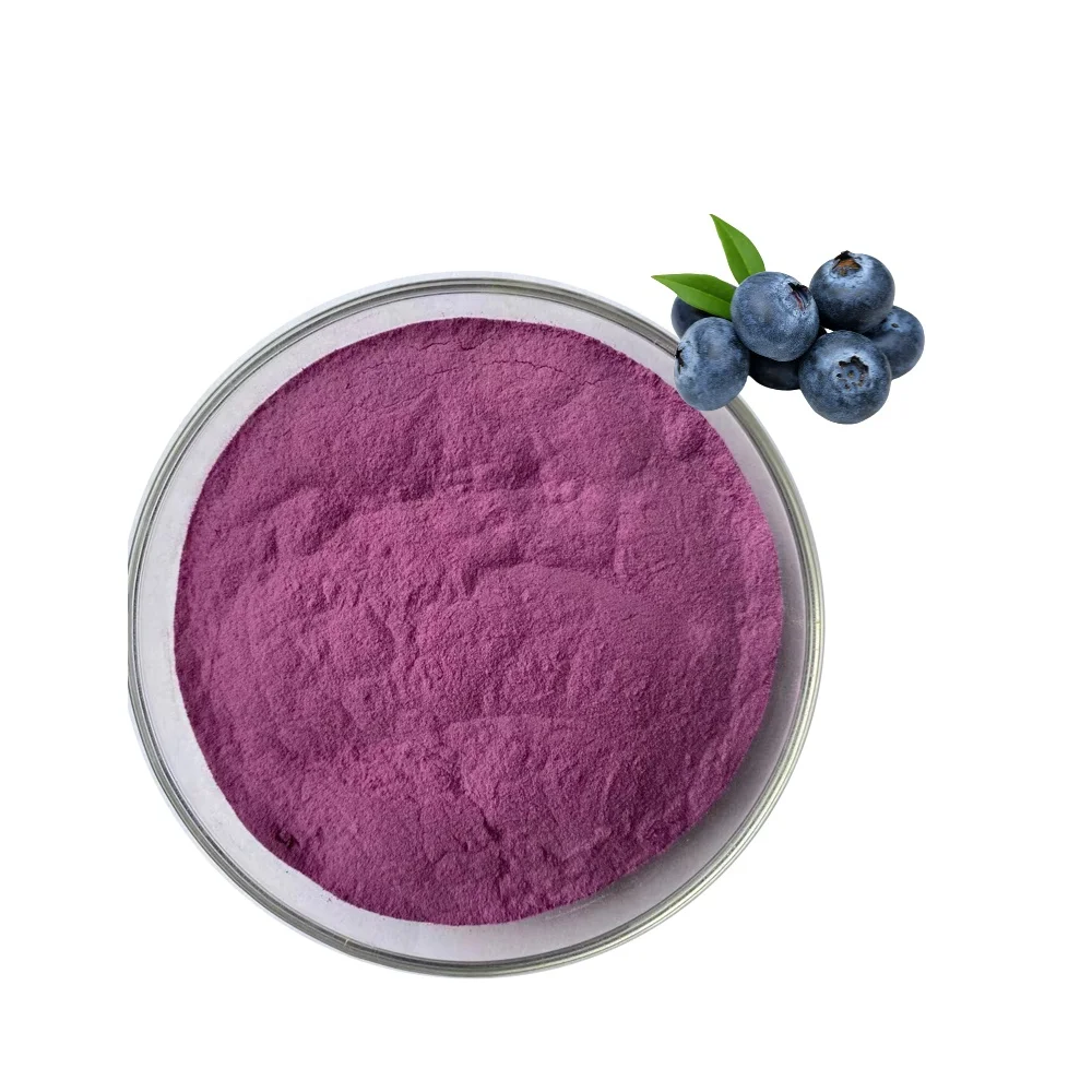 1 Лидер продаж Черничный фруктовый порошок 25% антоцианидинов Vaccinium Angustifolium