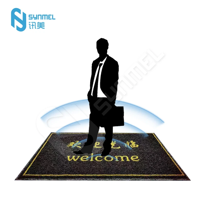 EAS AM Concealed Under Floor Antenna concealed door or wall system