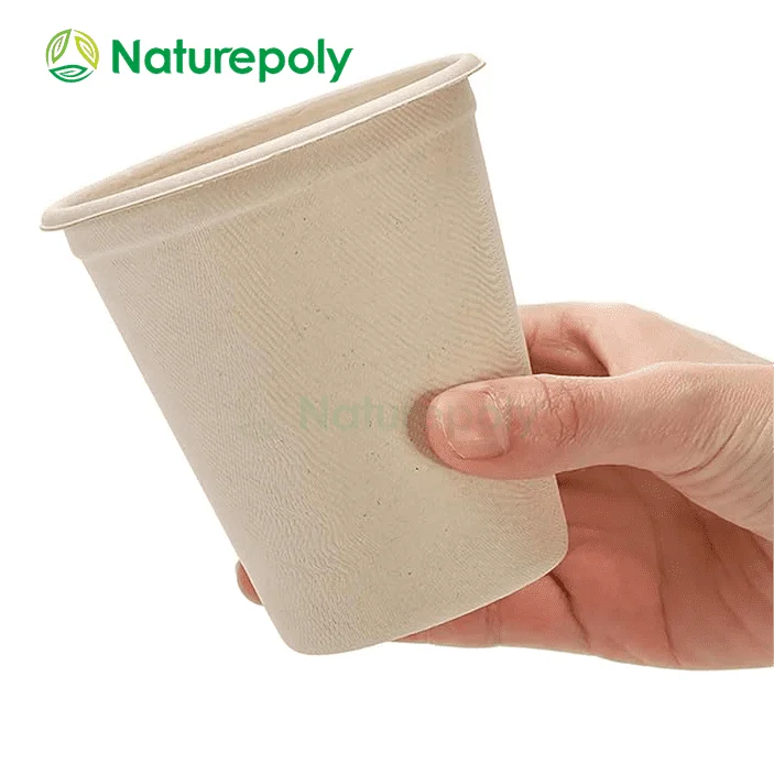 Disposable Bamboo Fiber Cup Custom Logo PLA Cotated Biodegradable Cup with Lids