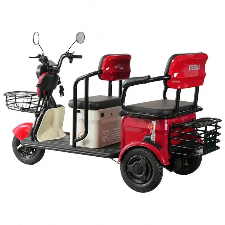 New Cheap Electric Tricycle door Closed 2 seats Tricycle 3 Wheel electric tricycle
